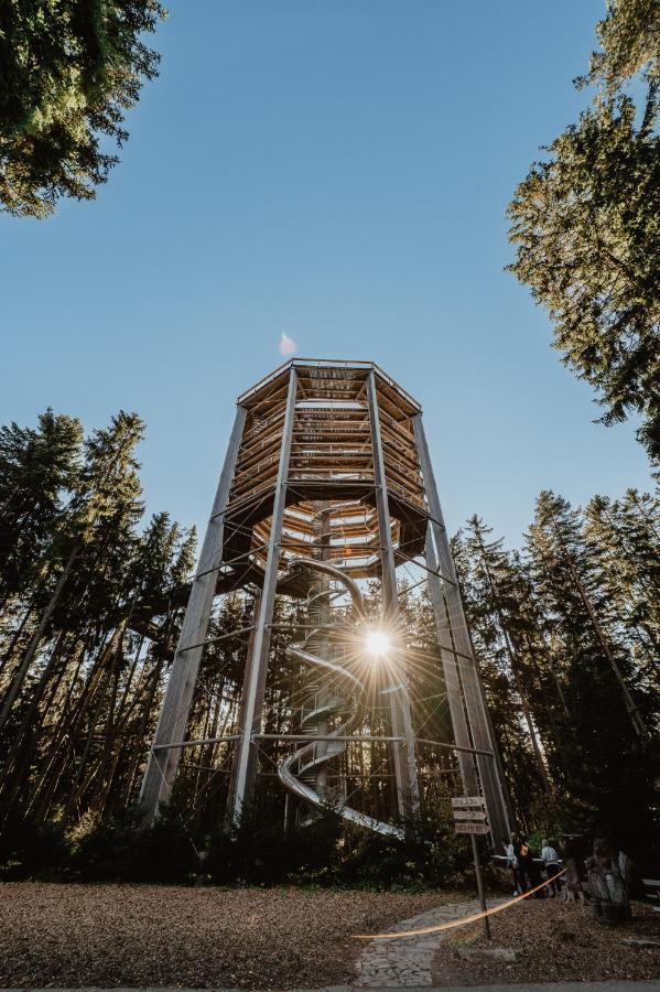 Lipno nad Vltavou - Apartman 23 - WiFi, Parking, Netflix Exteriör bild