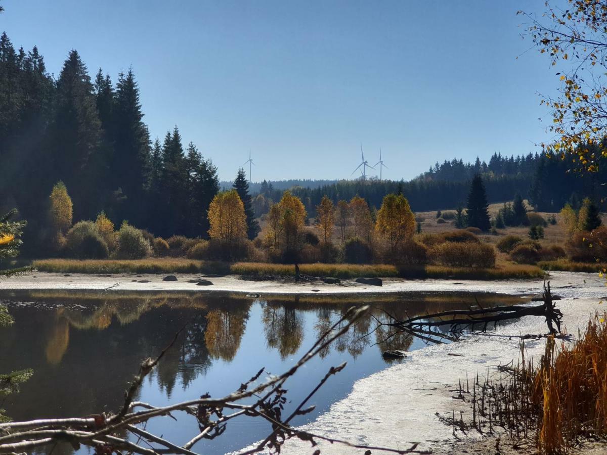 Lipno nad Vltavou - Apartman 23 - WiFi, Parking, Netflix Exteriör bild