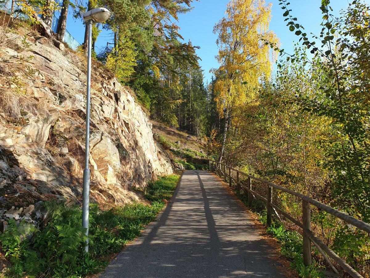 Lipno nad Vltavou - Apartman 23 - WiFi, Parking, Netflix Exteriör bild