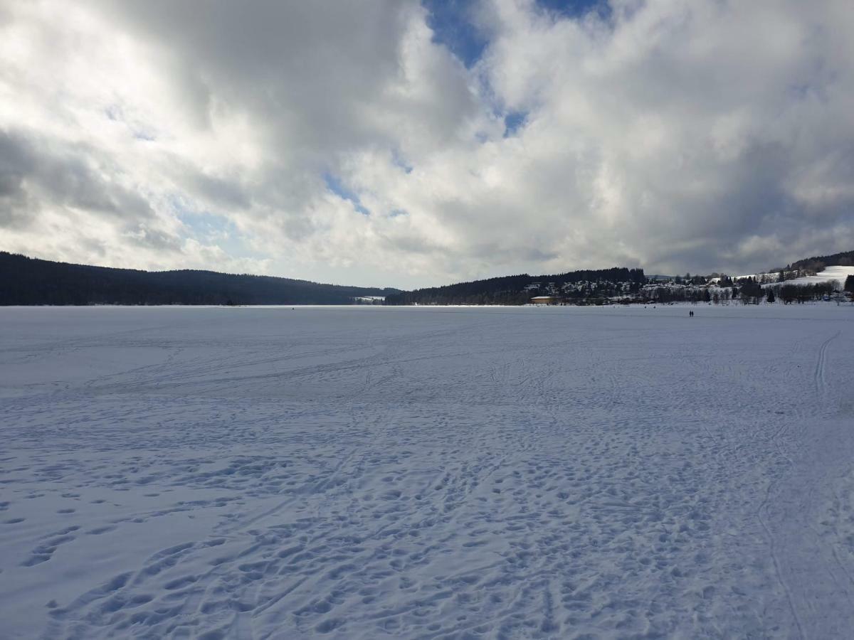 Lipno nad Vltavou - Apartman 23 - WiFi, Parking, Netflix Exteriör bild